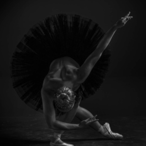 The Creative Image 1